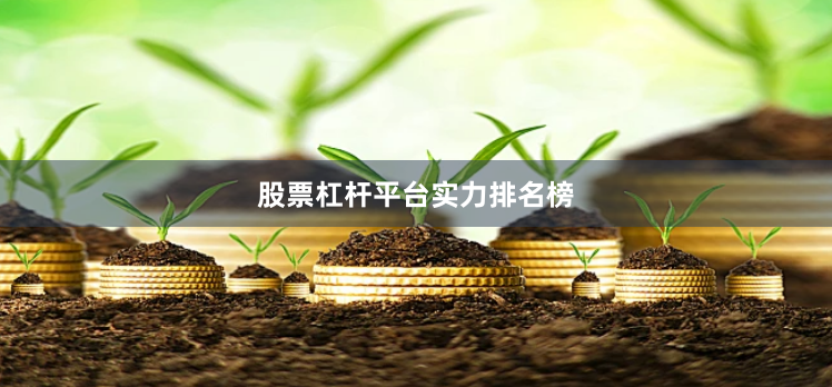 股票杠杆平台实力排名榜