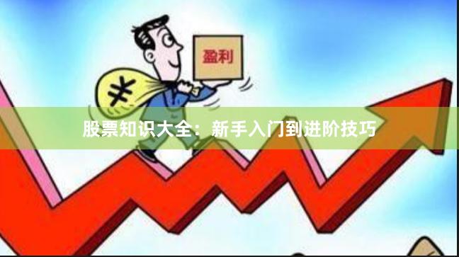 股票知识大全:新手入门到进阶技巧